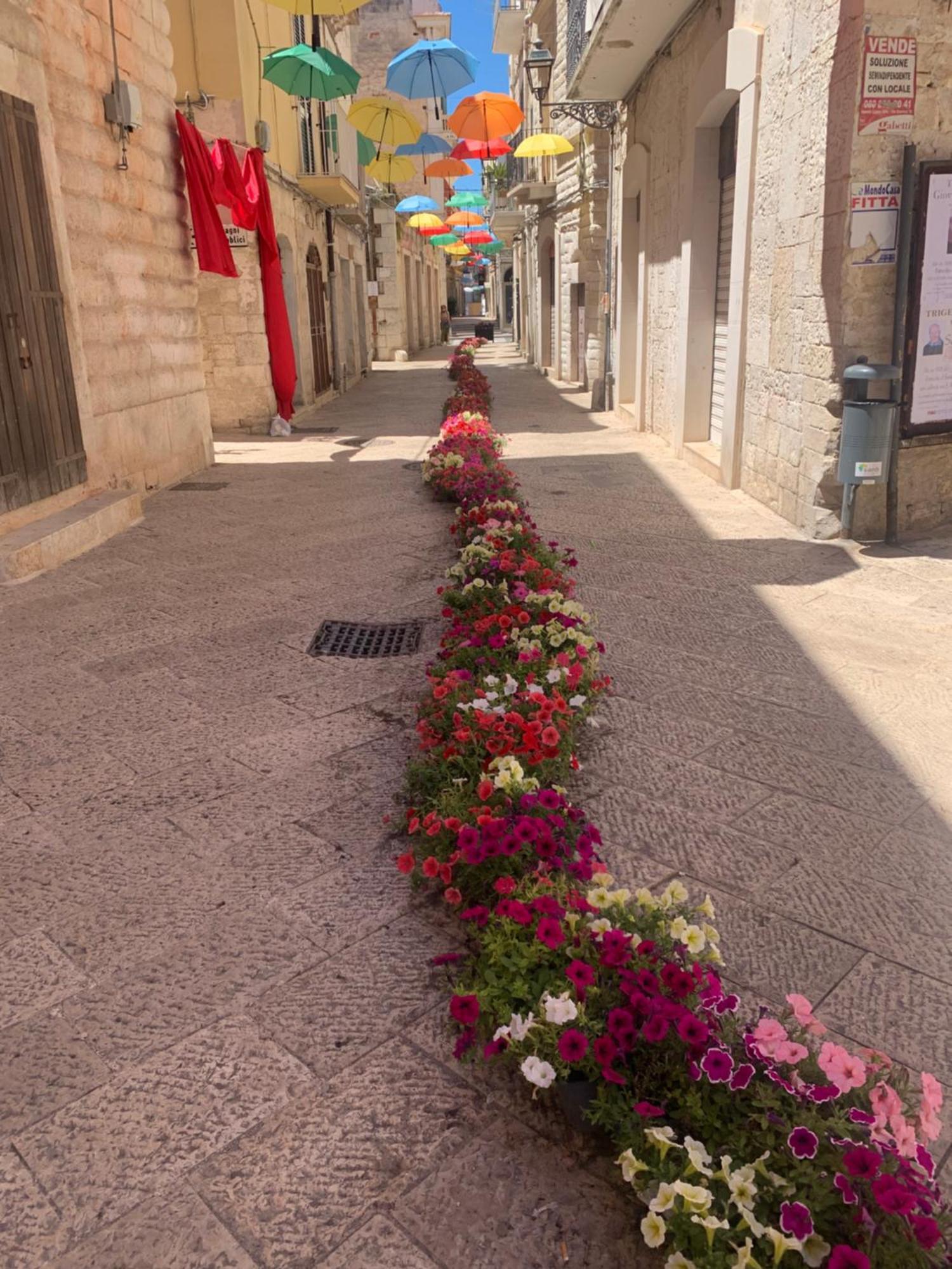 דירות קוראטו Old Town Moschetti 20 מראה חיצוני תמונה